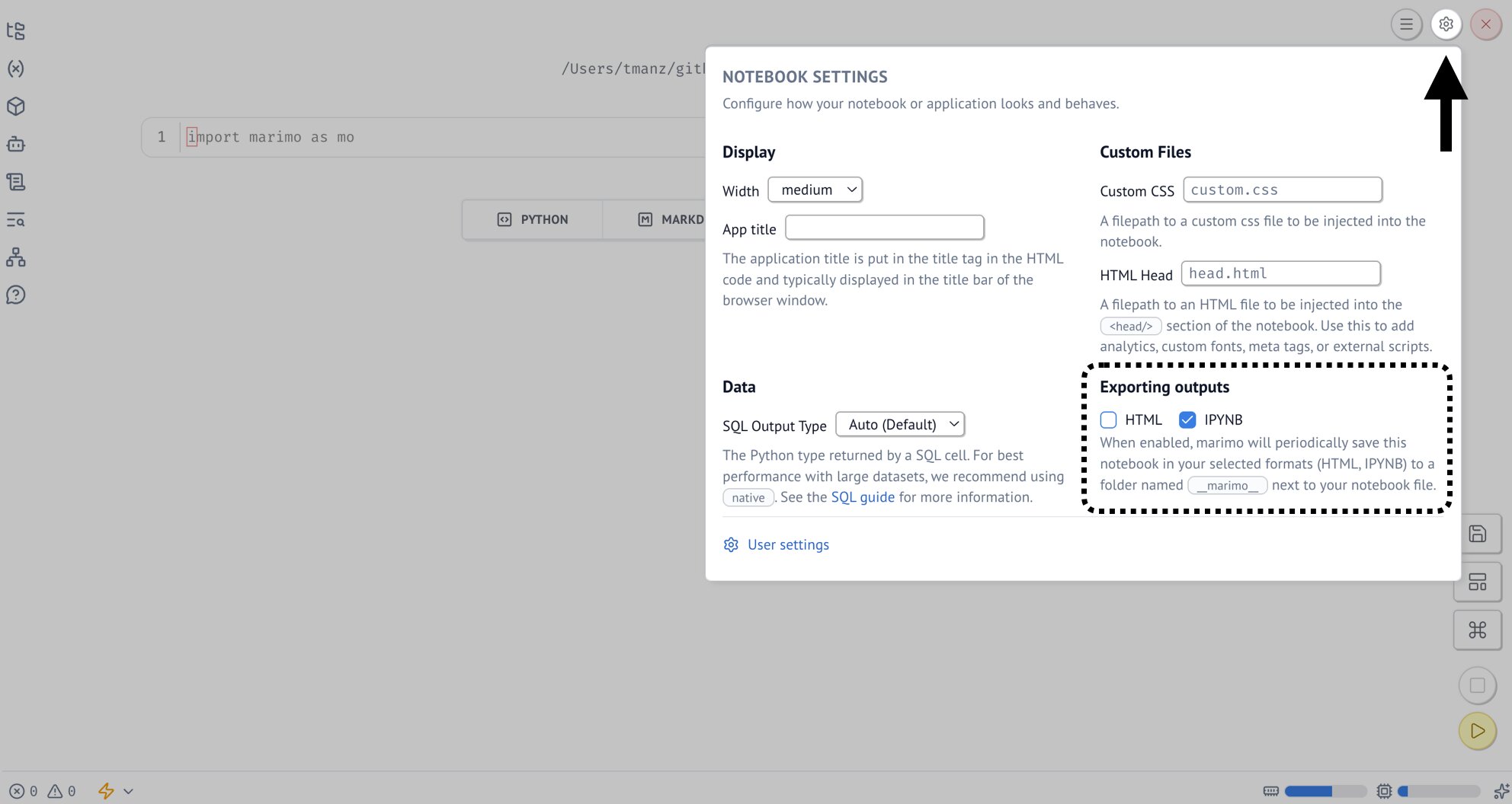 Notebook settings dialog showing the Exporting outputs section with HTML and ipynb checkboxes